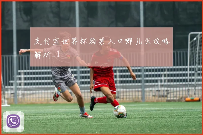 支付宝世界杯购票入口哪儿买攻略解析_1