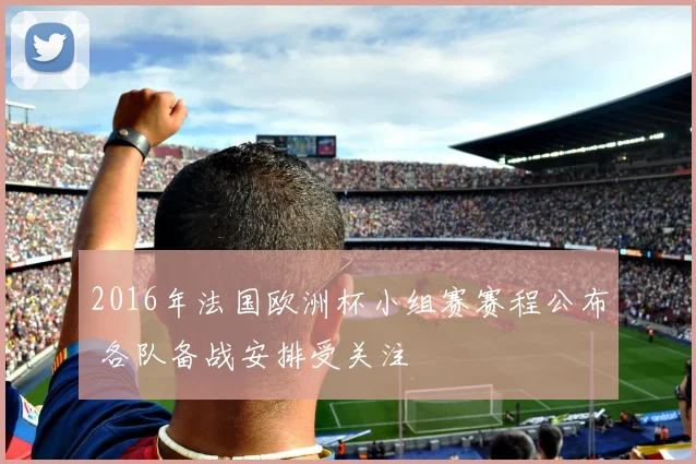 2016年法国欧洲杯小组赛赛程公布 各队备战安排受关注