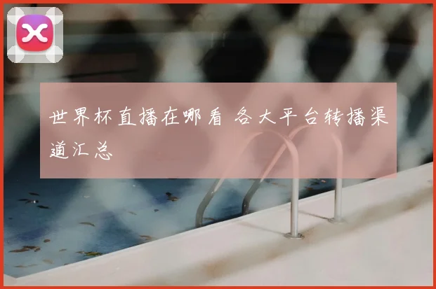 世界杯直播在哪看 各大平台转播渠道汇总