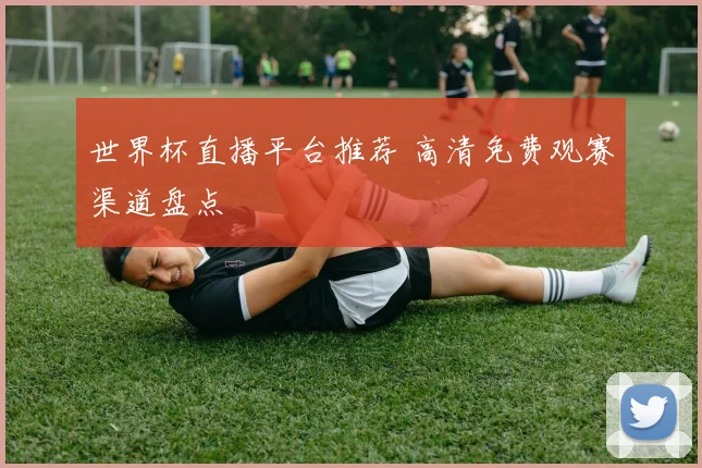 世界杯直播平台推荐 高清免费观赛渠道盘点