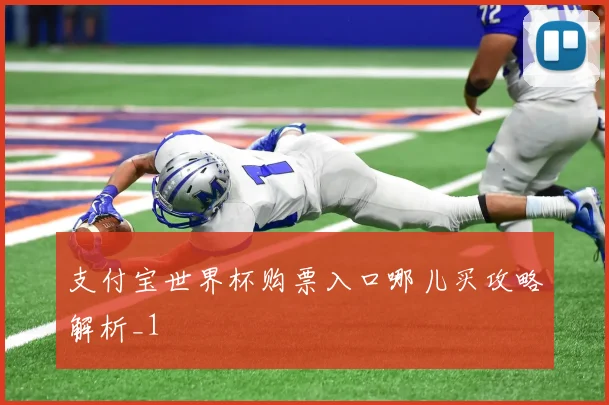 支付宝世界杯购票入口哪儿买攻略解析_1