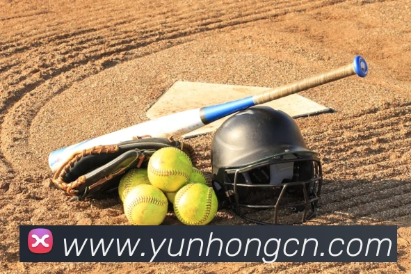 世界杯平台官网登录发展历程